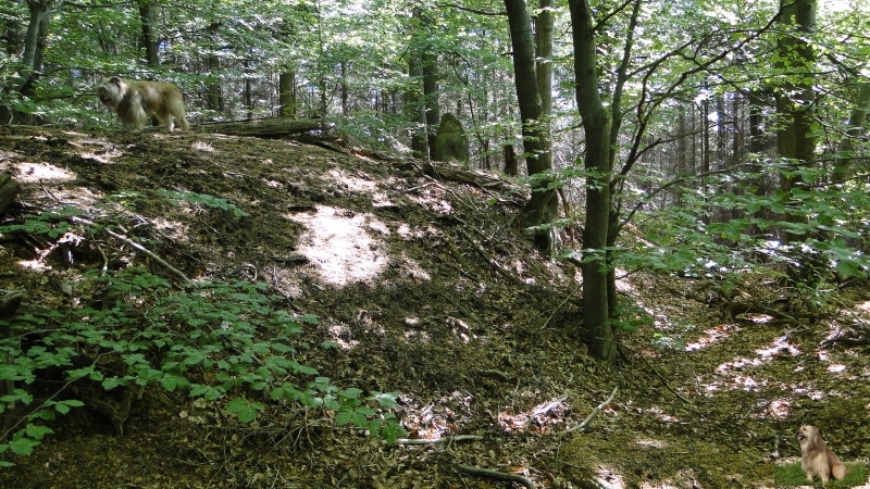 Ritterstein Nr. 173-5 Schanze 4 1793-94.JPG - Ritterstein Nr.173 Schanze 4 1793/94